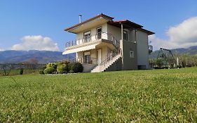 Elioj House